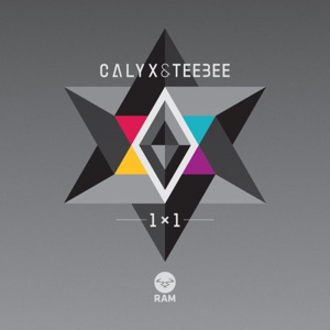 1X1
