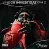 Under Investigation 2 album lyrics, reviews, download