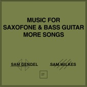 Sam Gendel - GREETINGS TO IDRIS MORE SONGS