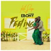 Feeling (feat. Ebony) - Single