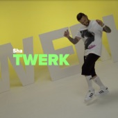 Twerk artwork