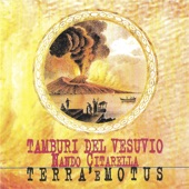Tamburi del Vesuvio & Nando Citarella - Suite campesina: Carpinese