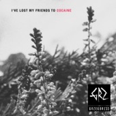 I've Lost My Friends To Cocaine artwork