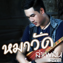 ลำเพลิน วงศกร - หมาวัด
