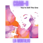 CSAN-II - You're Still the One