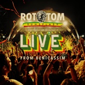 True Rasta Man (Live at Rototom Sunsplash) artwork