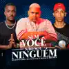 Sem Você Não Sou Ninguém (Remix) song lyrics