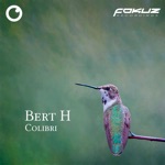 Colibri - Single