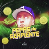 Pepas de Serpiente (Remix) artwork