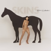 Skins artwork