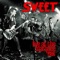Sweet F.A. - Sweet lyrics