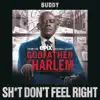 Sh*t Don't Feel Right (feat. Buddy) [From the Godfather of Harlem Soundtrack] - Single album lyrics, reviews, download