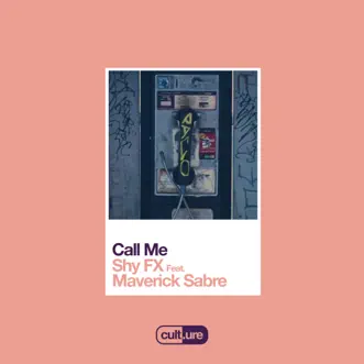 Call Me (feat. Maverick Sabre) by Shy FX song reviws