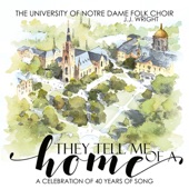 They Tell Me of a Home (A Celebration of 40 Years of Song) artwork