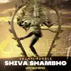 Shiva Shambho (Vertigos Remix) - Single album lyrics, reviews, download