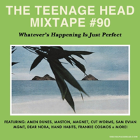 The TEENAGE Head Mixtapes podcast