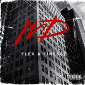 FLEX & FINESSE artwork