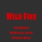 Wild Fire (feat. SoSleez Leek & Big Stizzy) - TaeNino lyrics