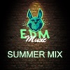 Summer Mix - EP