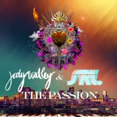 The Passion (Radio Edit) artwork