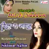 Dil E Nadan album lyrics, reviews, download