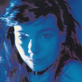Björk - Cover Me