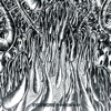 Sycomore - Indian Witch Doctor