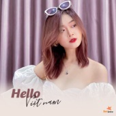 Hello Việt Nam artwork