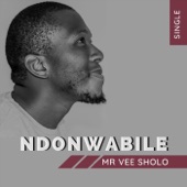 Ndonwabile artwork