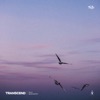 Transcend - Single