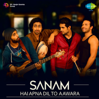 SANAM - Hai Apna Dil To Aawara artwork