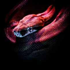 Snakebite - Single by Jeprdy album reviews, ratings, credits