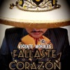 Fallaste Corazón - Single