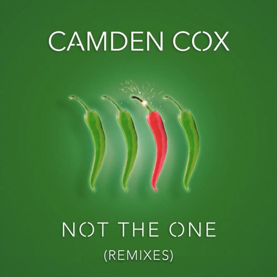 Cover artwork for Not the One