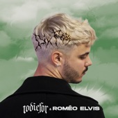 Dix Fois (feat. Roméo Elvis) artwork