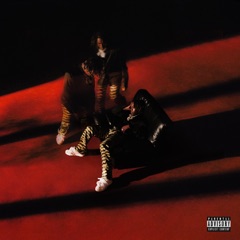 Life Of A Don (Apple Music Edition)