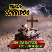 Bernardo Mata - Los Cadetes de Linares