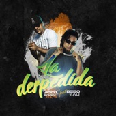 La Despedida (Remix) artwork