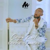 école d'amour - Single