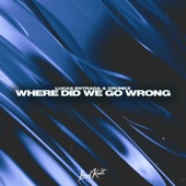 Where Did We Go Wrong artwork