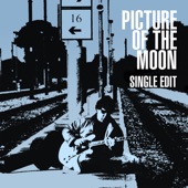 Picture of the Moon (Single Edit) artwork