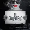 La Culpable - Single album lyrics, reviews, download