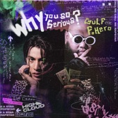 WHY YOU SO SERIOUS (feat. F.HERO) artwork
