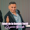 Ce Joaca Tigancile - Single