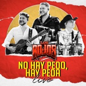 No Hay Pedo, Hay Peda (En Vivo) artwork