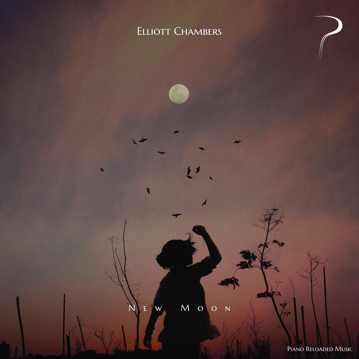 Apple Music에서 감상하는 Elliott Chambers의 New Moon Elliott Chambers의 New Moon