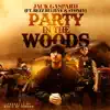 Party In the Woods (feat. Bezz Believe & Stoney) - Single album lyrics, reviews, download