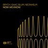 Now We Know - Single