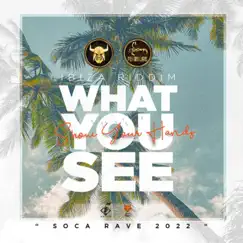What You See (Show Your Hands) - Single by Bunji Garlin & Fay-Ann Lyons album reviews, ratings, credits