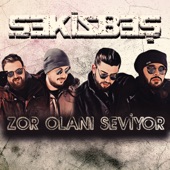 Zor Olanı Seviyor artwork